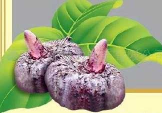 魔芋什么味道？怎么去除魔芋味道？