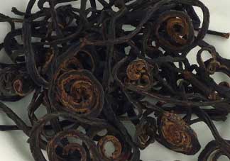 干蕨菜致癌嗎？干蕨菜致癌是真的嗎？