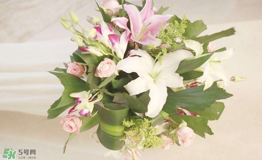 孕婦不能碰那些花 孕期避開(kāi)的花有哪些 孕婦不能碰那些花 孕期避開(kāi)的花有哪些