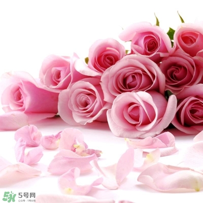 孕婦不能碰那些花 孕期避開(kāi)的花有哪些 孕婦不能碰那些花 孕期避開(kāi)的花有哪些