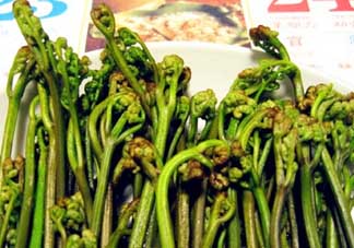 蕨菜有毒嗎？吃蕨菜會中毒嗎？