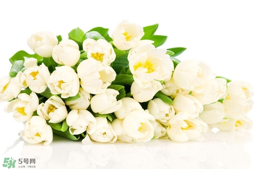 孕婦不能碰那些花 孕期避開(kāi)的花有哪些 孕婦不能碰那些花 孕期避開(kāi)的花有哪些