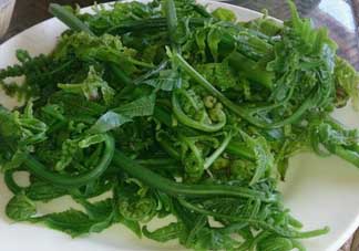 蕨菜是發(fā)物嗎？蕨菜是不是發(fā)物嗎？