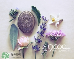 2017固體香膏哪個(gè)牌子好？2017固定香膏排行榜