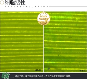 cpb保濕露多少錢？cpb保濕露專柜價格