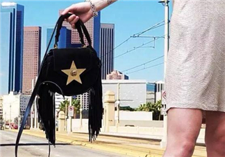 salar包包什么價(jià)位？salar包包是奢侈品嗎？