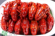 吃小龍蝦可以喝紅酒嗎？紅酒和龍蝦能一起吃嗎？