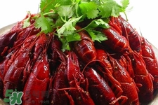 喇蛄和小龍蝦有什么不同？喇蛄和小龍蝦的區(qū)別