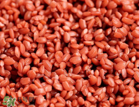 五色糯米飯是哪個民族的？五色糯米飯的傳說