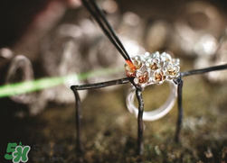 潘多拉2017春季新品好看嗎？pandora2017春季新款珠寶怎么樣？