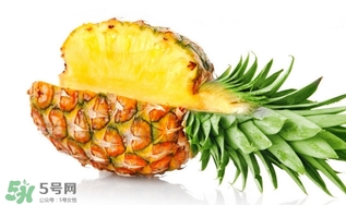 怎么挑菠蘿？如何挑選好吃的菠蘿