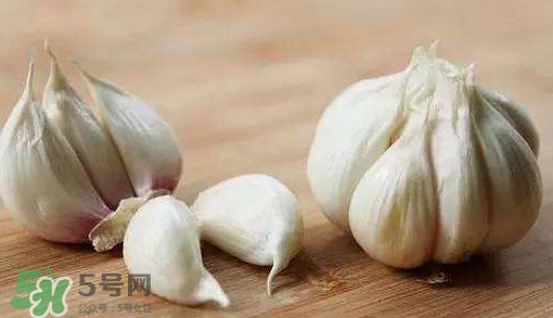 發(fā)芽的大蒜能吃嗎？發(fā)芽的大蒜能不能吃