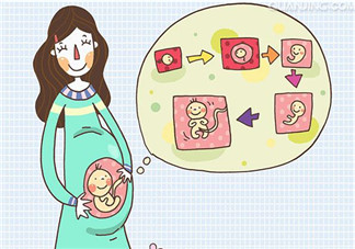 孩子的相貌遺傳誰的？孩子的相貌是遺傳爸爸嗎？