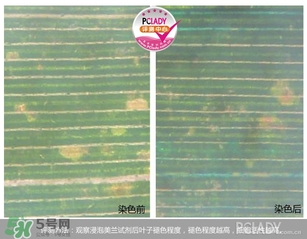 cpb夜乳白天能用嗎？cpb夜乳使用方法