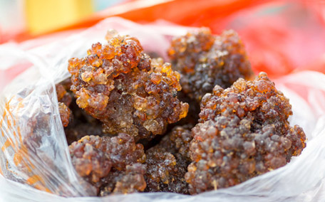 桃膠脆脆的是沒熟嗎 桃膠不泡可以直接煮嗎