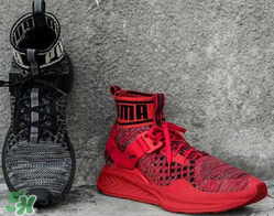 puma襪子鞋正品多少錢(qián)？彪馬襪套鞋專柜價(jià)格