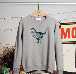 coach膠囊系列好看嗎？coach蔻馳膠囊系列怎么樣？