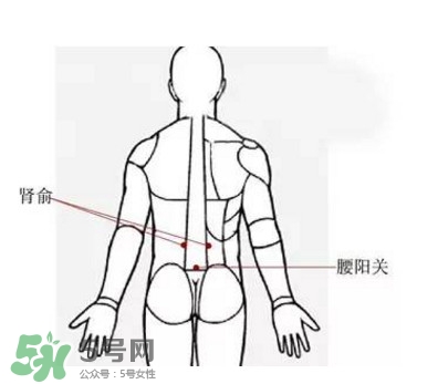 艾灸能減肥嗎？艾灸能不能減肥