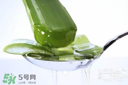 黃瓜水和蘆薈水哪個好？黃瓜水和蘆薈水功效區(qū)別