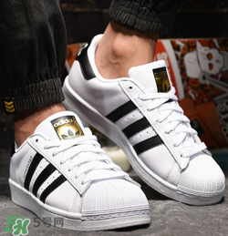 adidas貝殼頭正品多少錢(qián)？阿迪達(dá)斯貝殼頭鞋專(zhuān)柜價(jià)格