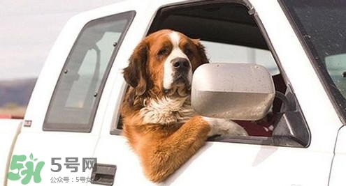 坐車暈車怎么辦？坐車暈車想吐怎么辦