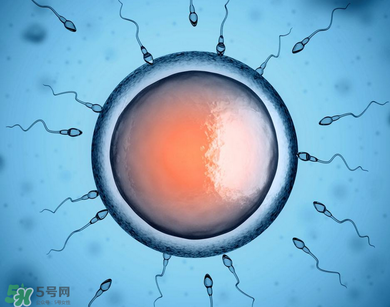 捐20顆卵子會怎么樣？捐20顆卵子有什么后果？