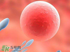 捐20顆卵子會怎么樣？捐20顆卵子有什么后果？