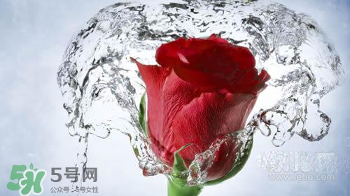 黃瓜水和玫瑰水哪個(gè)好？黃瓜水和玫瑰水區(qū)別