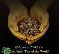 twg茶哪個(gè)最經(jīng)典？twg茶葉哪個(gè)好喝？