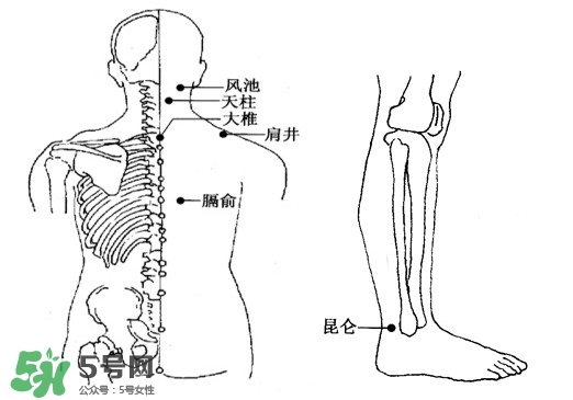刮痧能治頸椎病嗎？頸椎病刮痧正確圖片