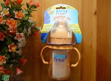 born free 奶瓶真假如何辨別？born free 奶瓶怎么判斷真假？