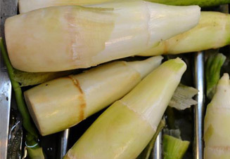 坐月子可以吃春筍嗎？產(chǎn)婦能吃春筍嗎？