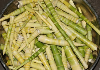 濕疹可以吃春筍嗎？得了濕疹能吃春筍嗎？