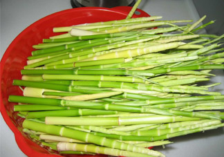 春筍老人能吃嗎？老人吃春筍好嗎？