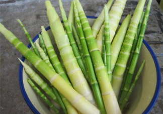 過(guò)敏體質(zhì)可以吃春筍嗎？皮膚過(guò)敏能吃春筍嗎？