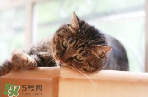 為什么身體總是覺得累？總是覺得累是怎么回事