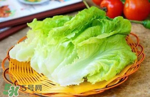 生菜可以放冰箱嗎？生菜可以放冰箱多久？