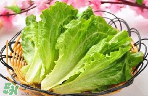 生菜可以放冰箱嗎？生菜可以放冰箱多久？