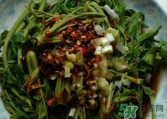 香椿芽怎么保存時間長?香椿芽的保存方法 香椿芽怎么保存時間長?香椿芽的保存方法