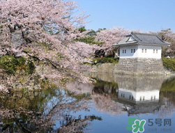 5月份去日本穿什么？五月份去日本穿什么衣服？