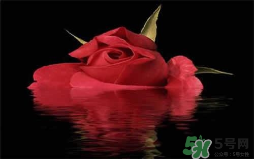 玫瑰水可以做面膜嗎？玫瑰水怎么做面膜？