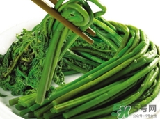 龍頭菜的營(yíng)養(yǎng)價(jià)值_龍頭菜的功效與作用及食用方法 龍頭菜的營(yíng)養(yǎng)價(jià)值_龍頭菜的功效與作用及食用方法