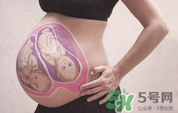 妊娠線看可以看胎兒性別嗎？妊娠線看可以男女嗎？