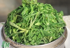 面條菜怎么蒸不黏糊?面條菜怎么蒸好吃? 面條菜怎么蒸不黏糊?面條菜怎么蒸好吃?