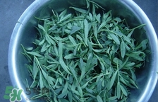 面條菜怎么炒好吃?面條菜怎么炒著吃? 面條菜怎么炒好吃?面條菜怎么炒著吃?