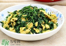 面條菜可以炒雞蛋嗎?面條菜能炒雞蛋吃嗎? 面條菜可以炒雞蛋嗎?面條菜能炒雞蛋吃嗎?