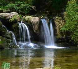 5月份去廬山穿什么？五月份去廬山穿什么衣服？