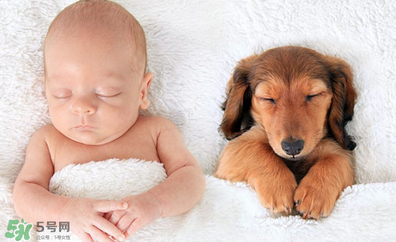 益生菌嬰兒怎么吃？益生菌嬰兒的吃法