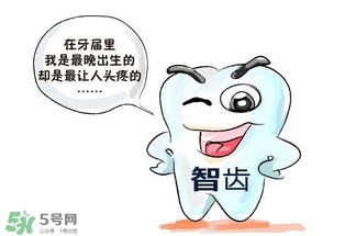 長智齒好嗎？長智齒好不好