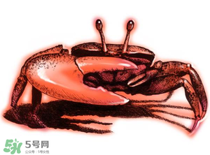 五月份可以吃螃蟹嗎？5月份可以吃螃蟹嗎？